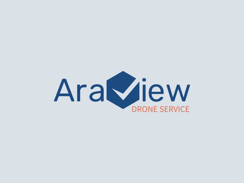 drone logo design template 10